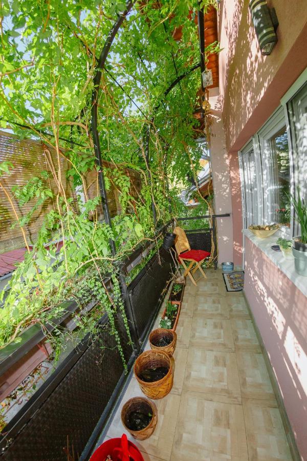Apartman Zamak Сомбор Екстериор снимка