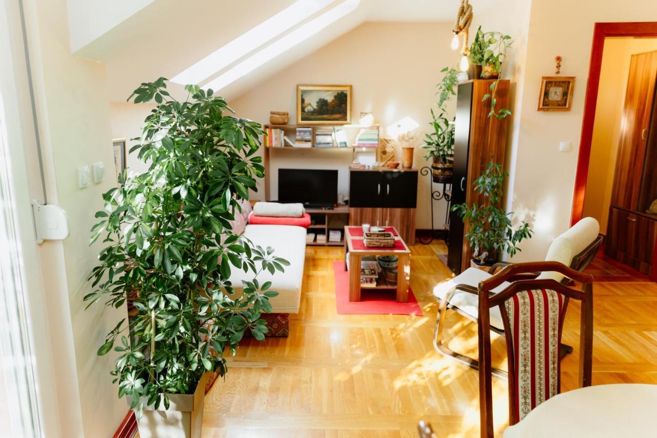 Apartman Zamak Сомбор Екстериор снимка